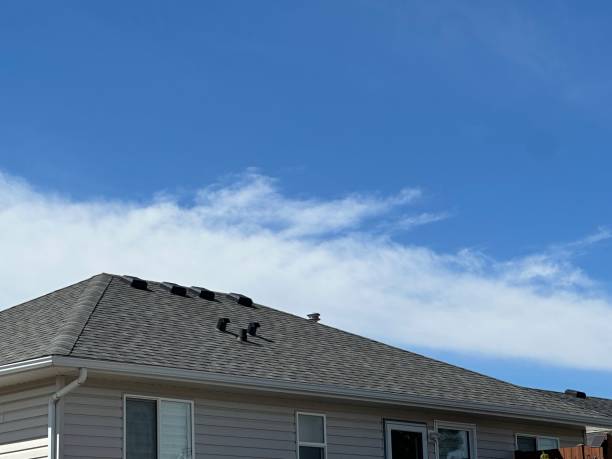 Best Emergency Roof Repair Services  in Northbrook, IL
